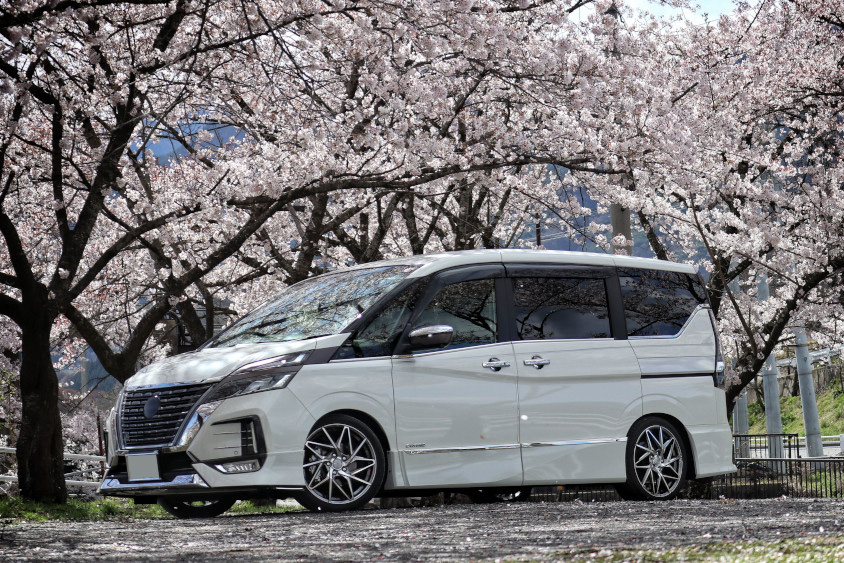 日産・セレナと桜