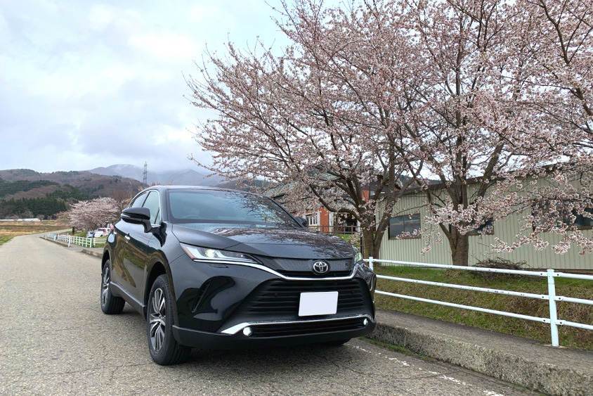 トヨタ・ハリアーと桜