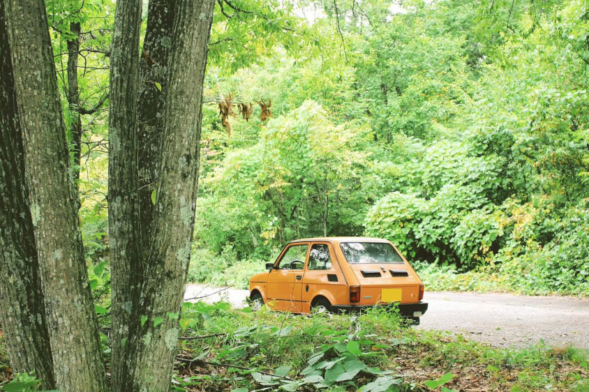 フィアット126 Maluch Townのリア