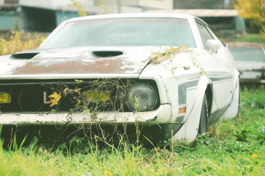 草ヒロ（草むらのヒーロー）