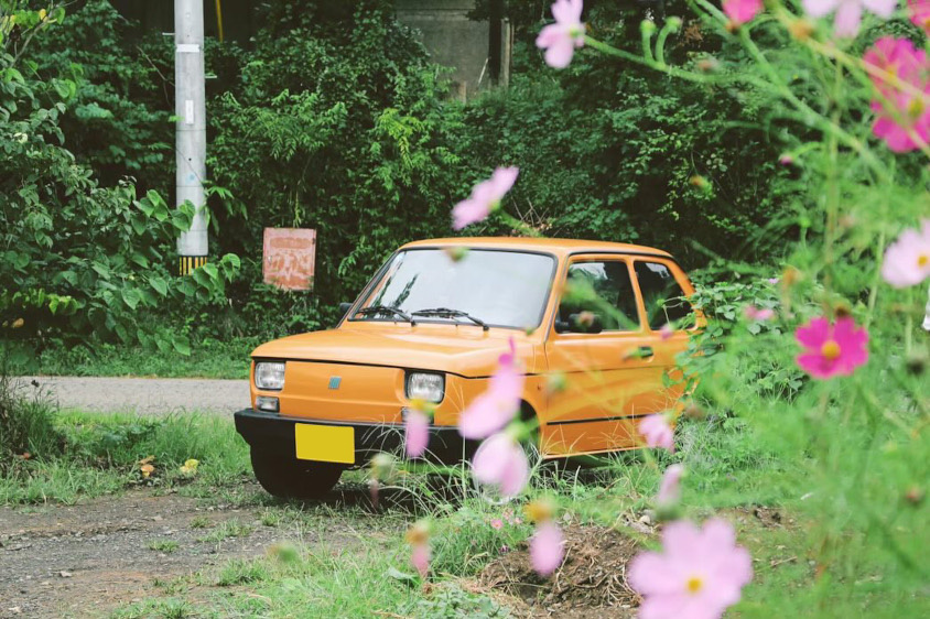 フィアット126 Maluch Townとコスモス