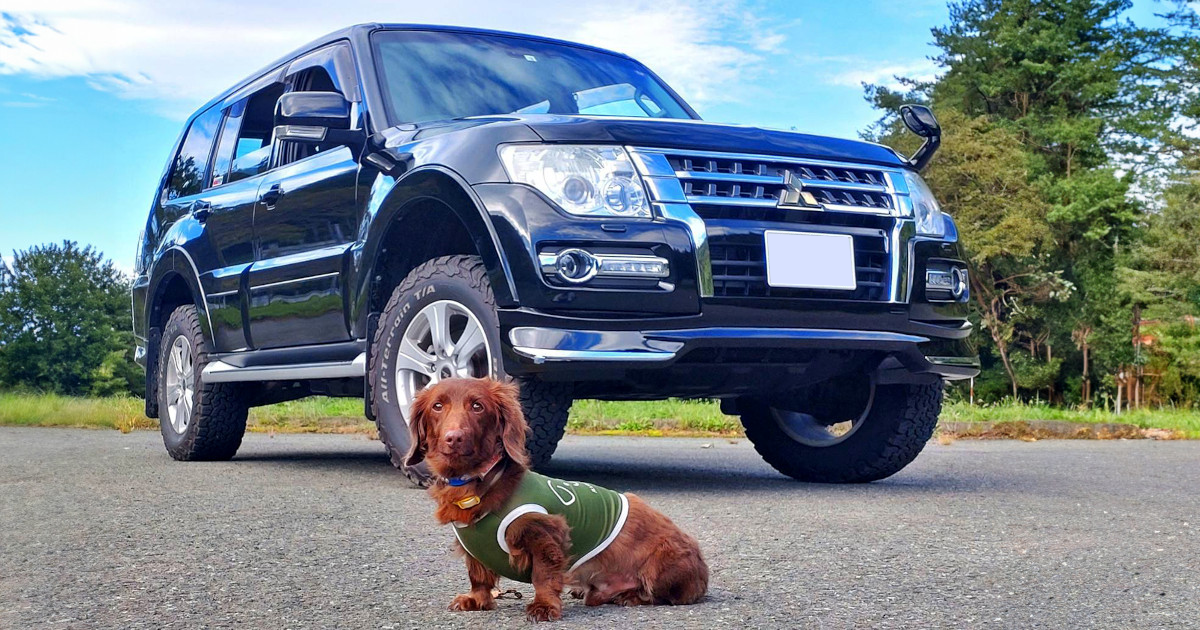 ★岩登り可能★超元気！　4WD MT 三菱　パジェロ　ターボ　乗って帰れます ☆岩登り可能☆超元気！ 4WD MT 三菱 パジェロ ターボ 乗って帰れます