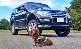 「生きるための目標を与えてくれる」三菱 パジェロと愛犬との“必要不可欠な”冒険ドライブ旅