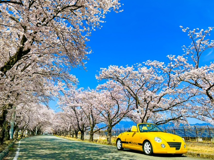 ダイハツ コペン