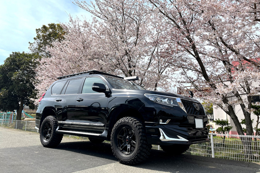 トヨタ・ランドクルーザープラドと桜