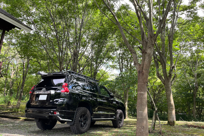 トヨタ・ランドクルーザープラドと森