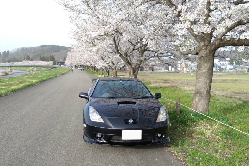 トヨタ・セリカ（ZZT230）と桜