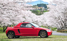 7年前に愛車として迎え入れたビートに、運命を感じた瞬間とは？