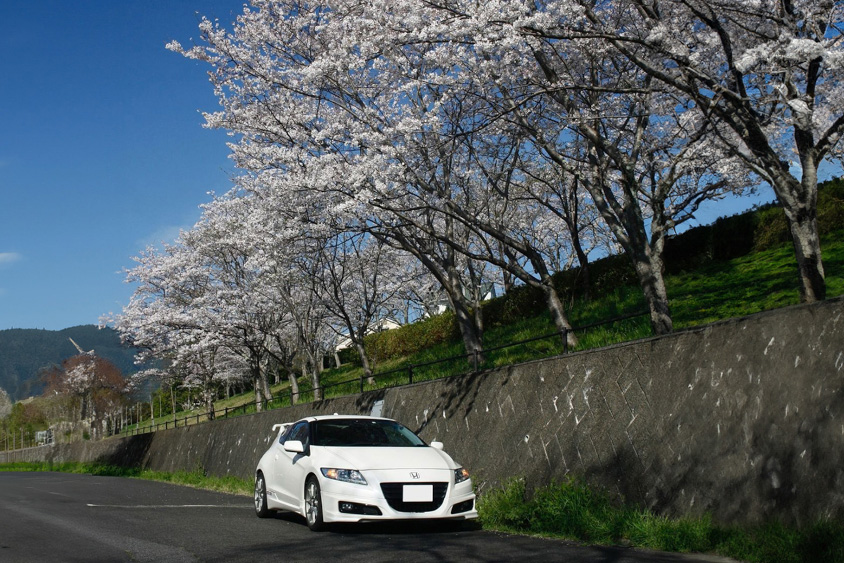 ホンダ・CR-Zと桜