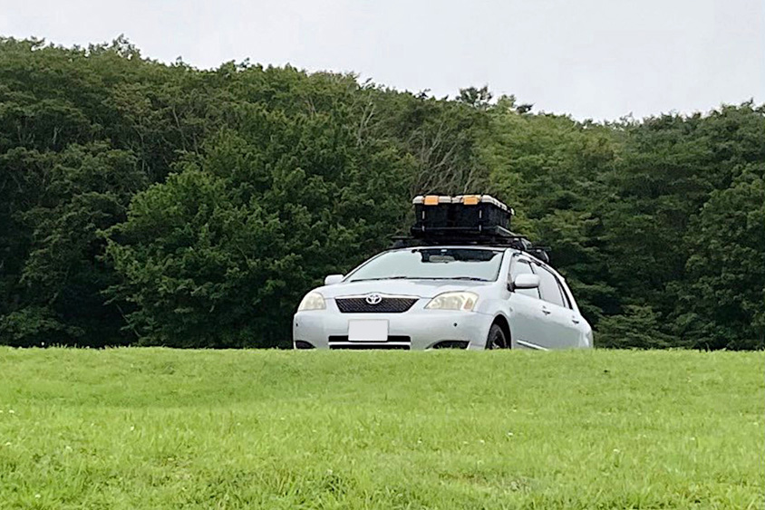 トヨタ・アレックスと一面の緑