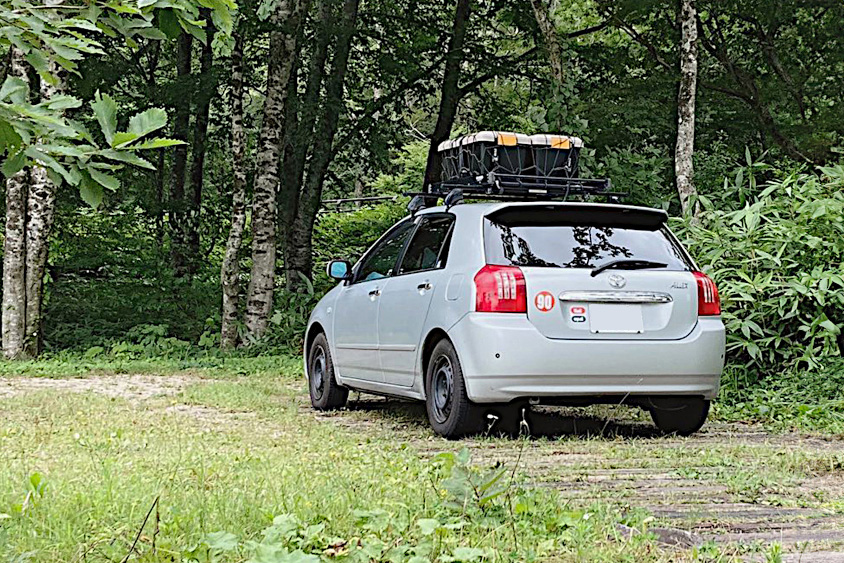 トヨタ・アレックスと森