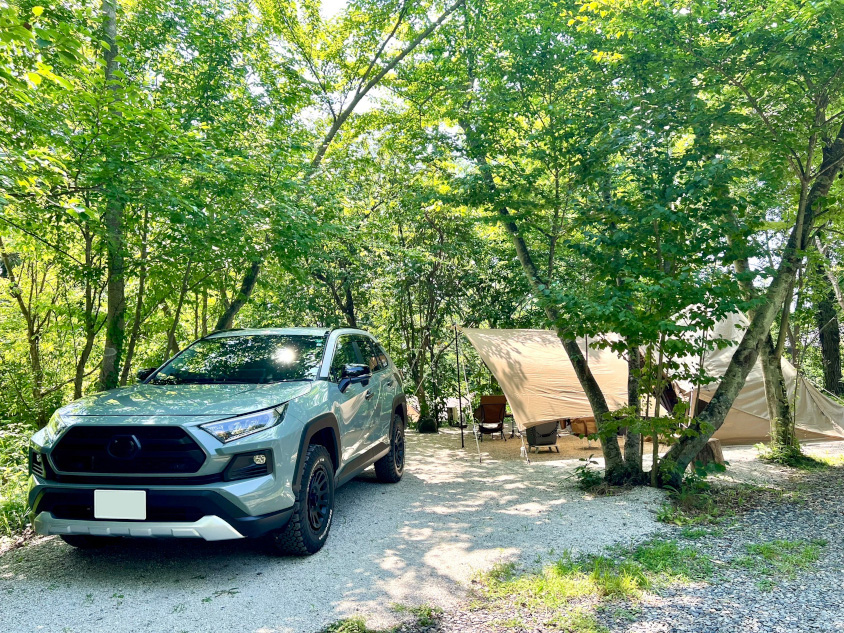 トヨタ・RAV4と森林キャンプ