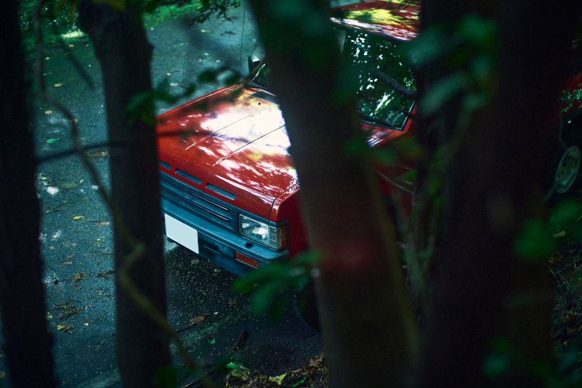 木の間から覗く日産・テラノ