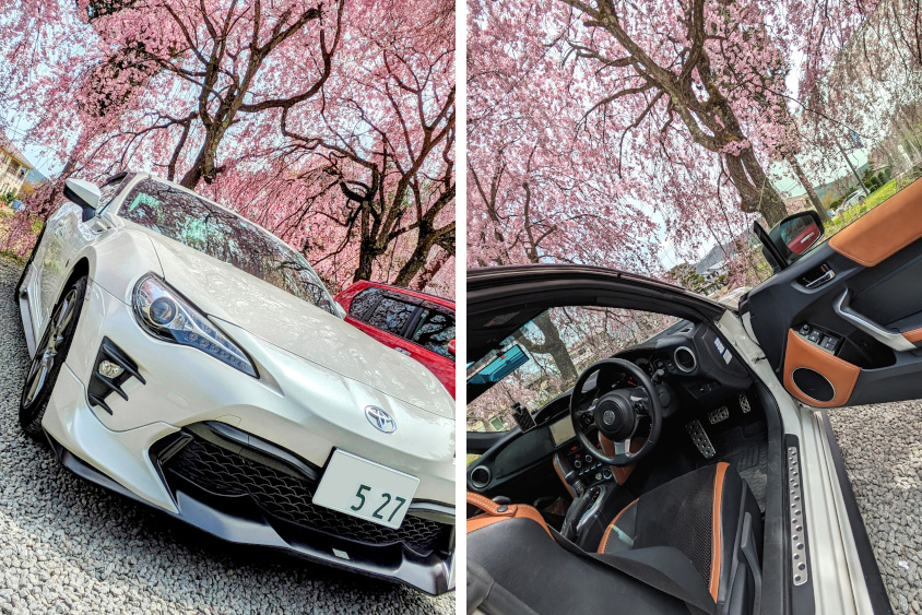 トヨタ・86と桜