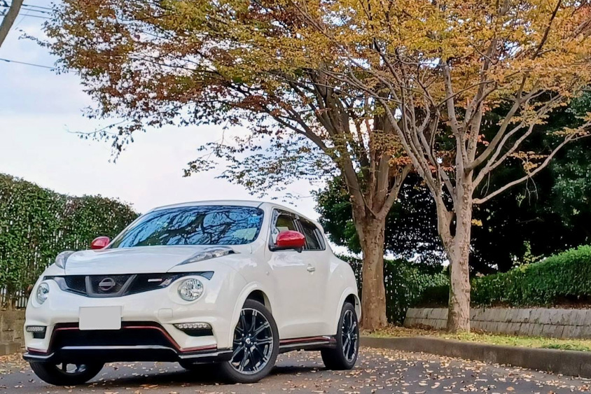 日産・ジュークと紅葉