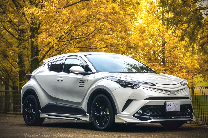 トヨタ・C-HRと銀杏