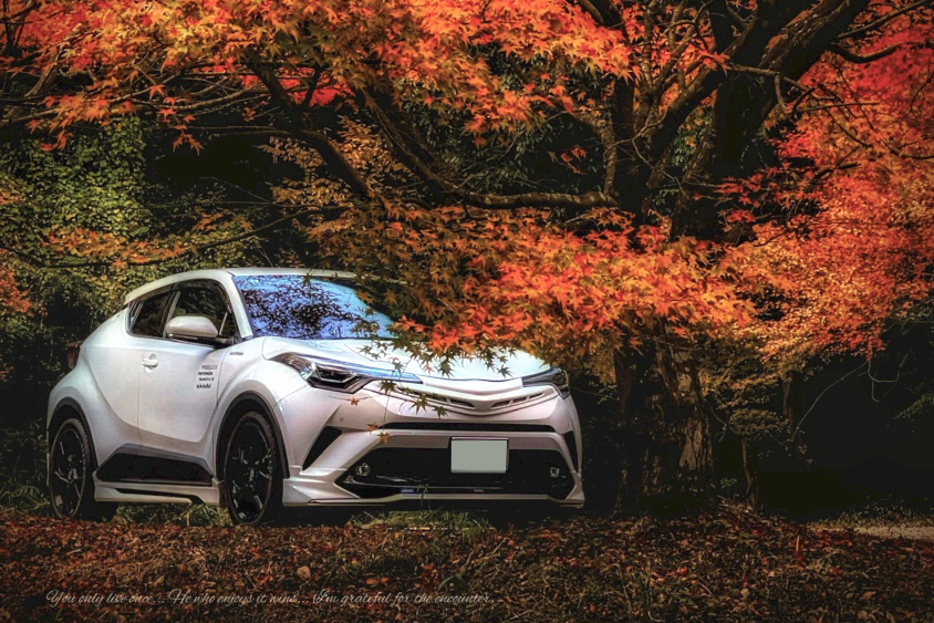 トヨタ・C-HRと紅葉
