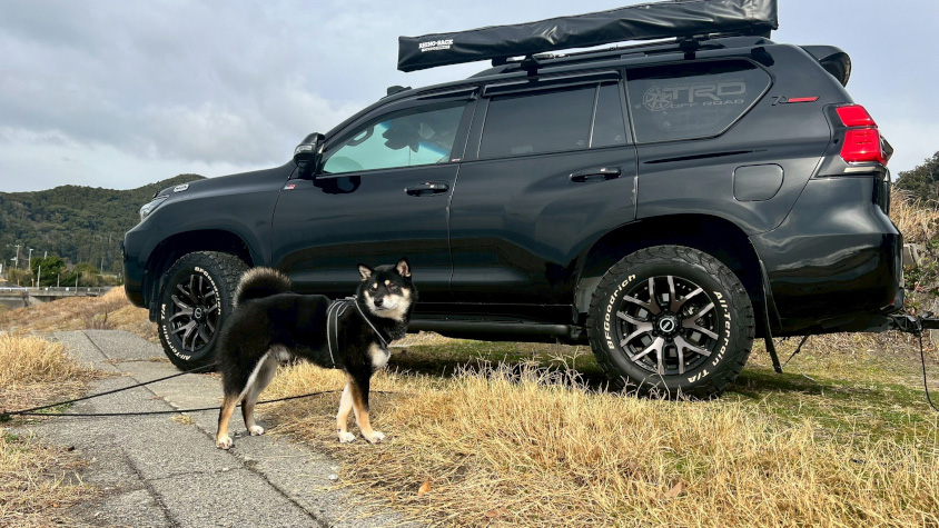 トヨタ・ランドクルーザープラドと愛犬