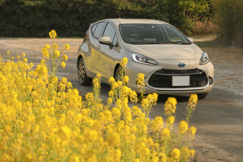 トヨタ アクアと菜の花