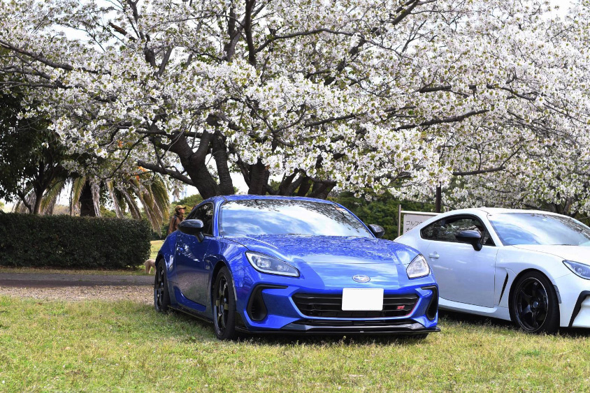 スバル・BRZと桜