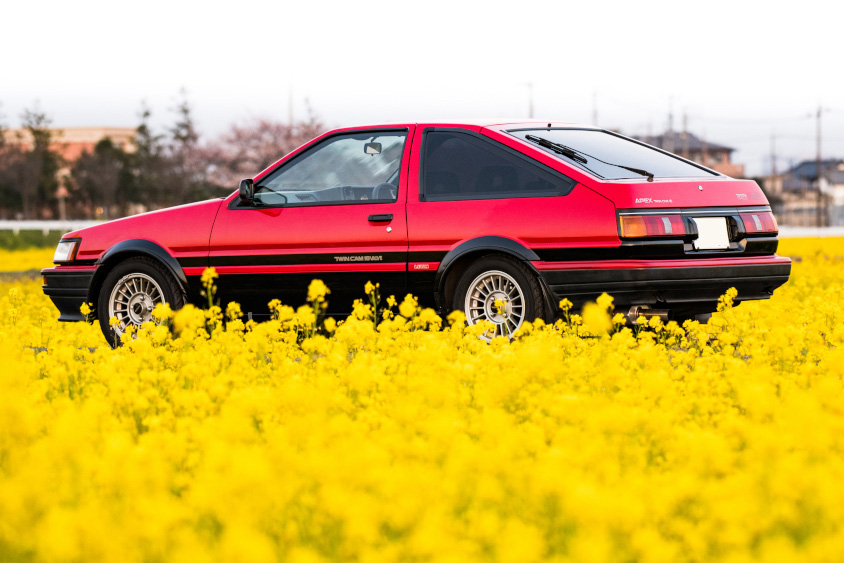 トヨタ・カローラレビン（AE86）と菜の花