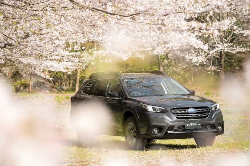 スバル・レガシィアウトバックと桜