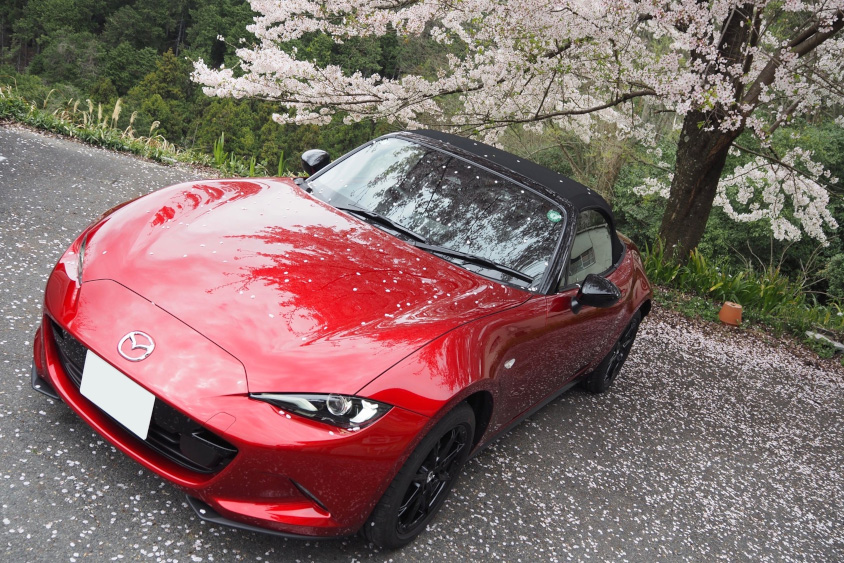 マツダ・NDロードスターと桜