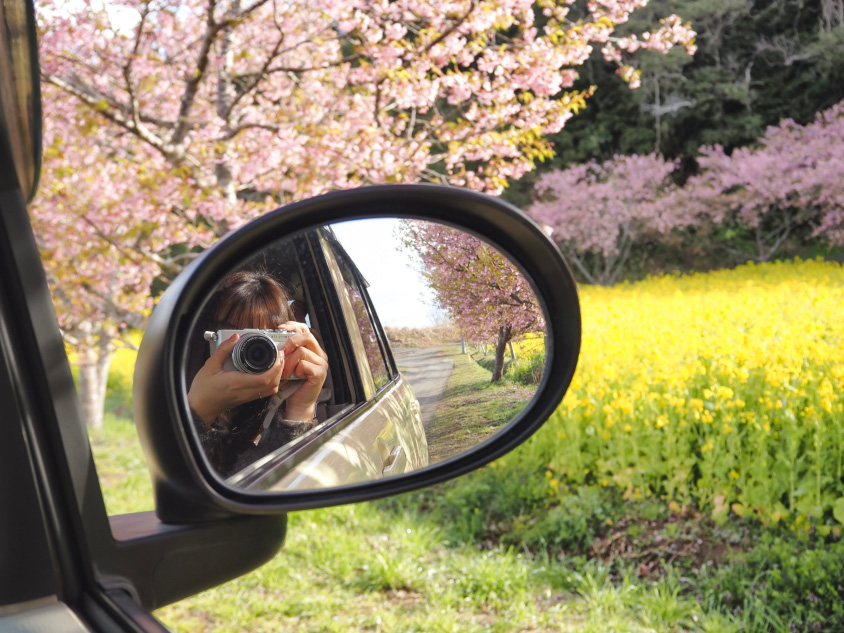 スズキ・アルト ラパンのサイドミラーに写るカメラを構えたオーナーさん