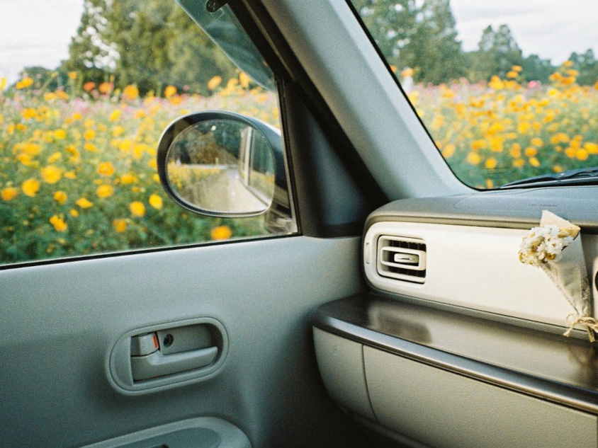 スズキ・アルト ラパンの車内から見る黄色い花
