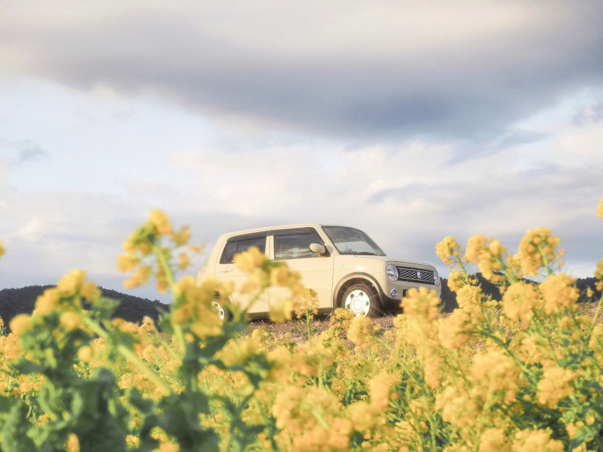 スズキ・アルト ラパンと菜の花