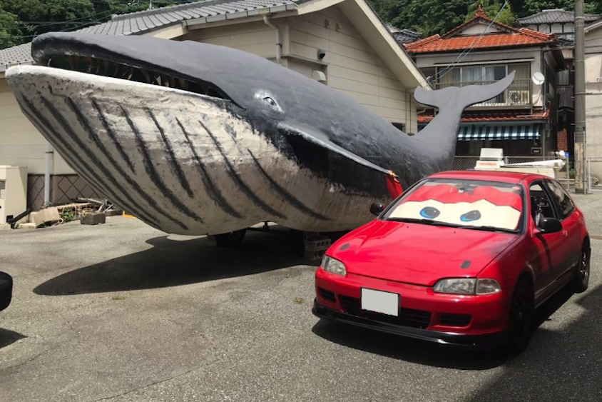 クジラとホンダシビック