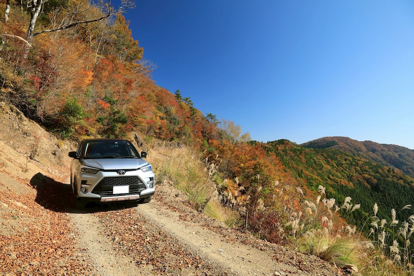 弘法じゃない自分は筆を選んだ！ 自分に“ベスト”なライズという選択