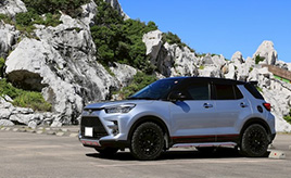 弘法じゃない自分は筆を選んだ！　自分に“ベスト”なライズという選択