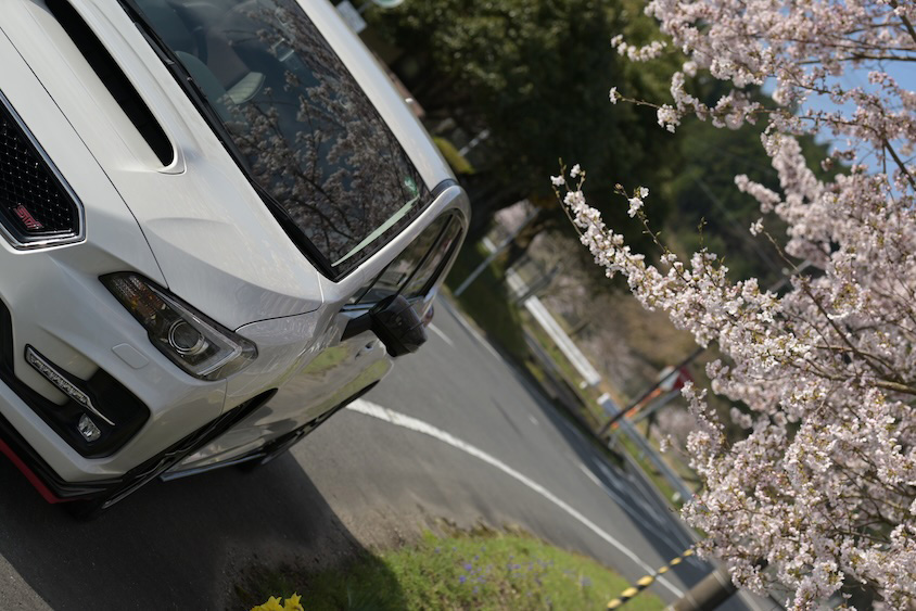 スバルレヴォーグと桜