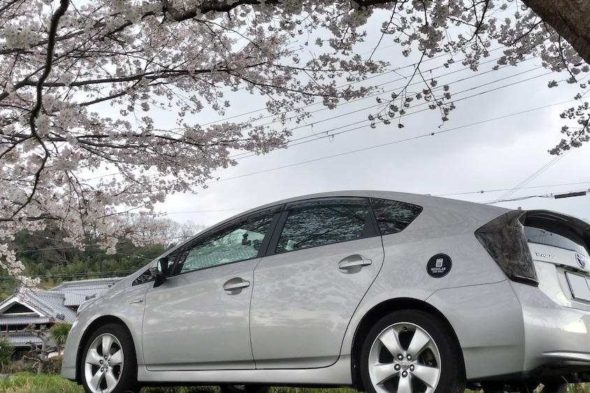 トヨタプリウス＠桜