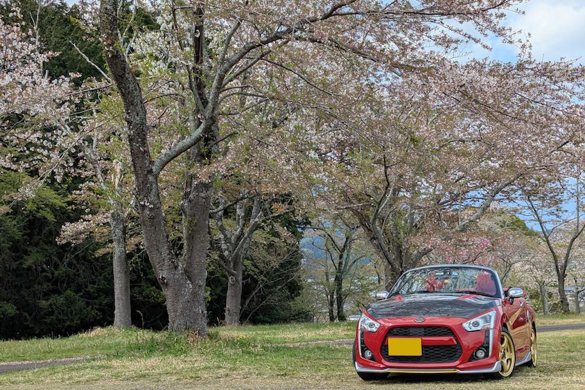 ダイハツコペンローブと桜