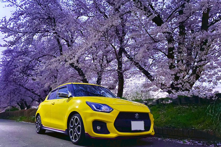 スズキスイフトスポーツと桜