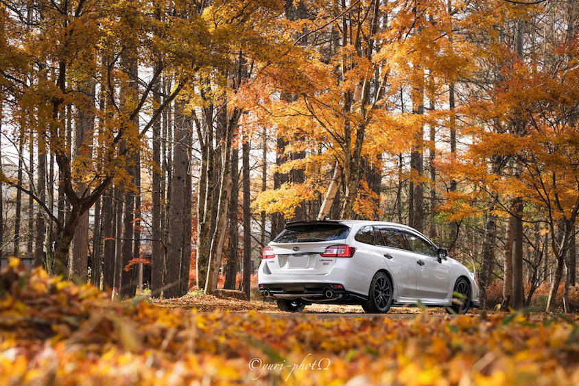 スバルレヴォーグ＠紅葉