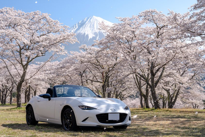 マツダロードスターと桜