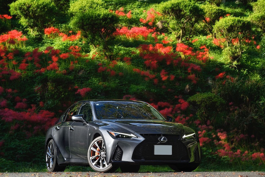 彼岸花とレクサスIS