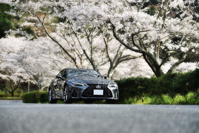 桜とレクサスIS