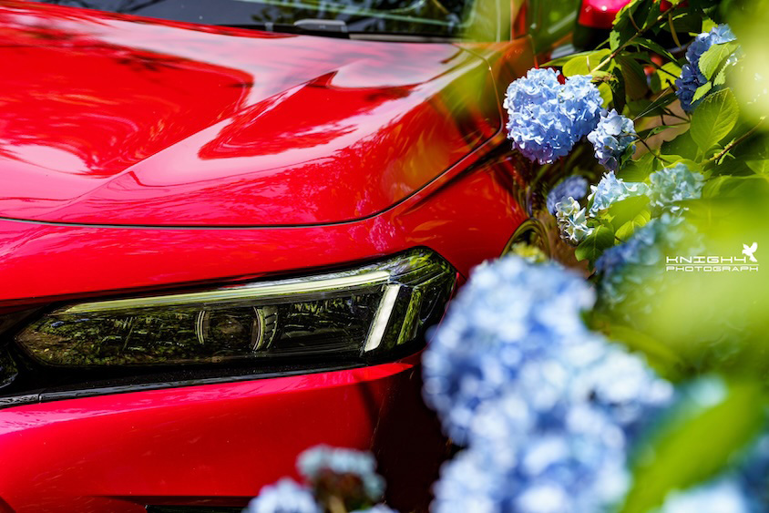 ホンダシビックと紫陽花