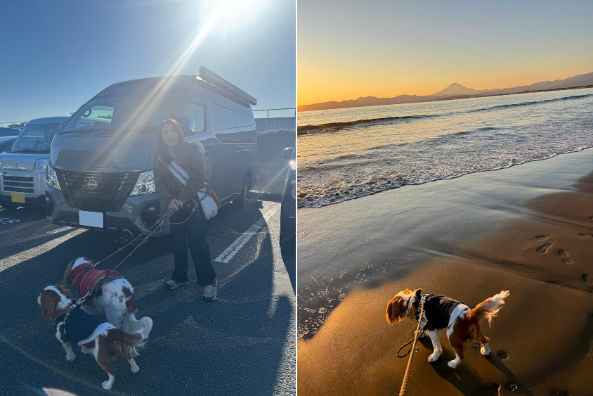 レクビィイゾラとオーナー氏家族と湘南の海