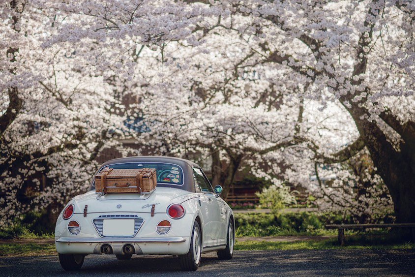ダイハツコペンと桜