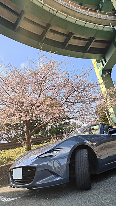 マツダロードスター@河津七滝ループ橋