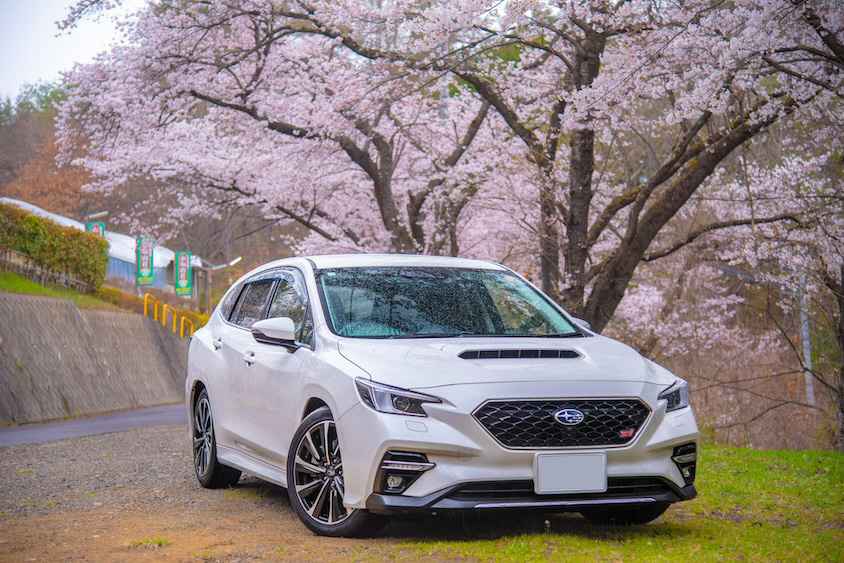 スバルレヴォーグと桜