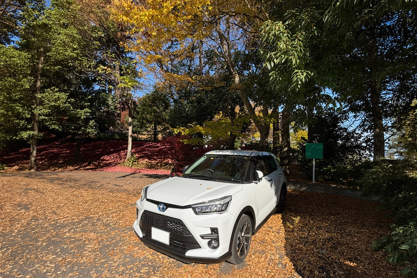 トヨタライズと紅葉