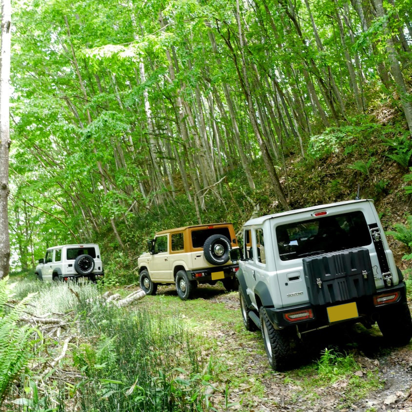 林道を走る3台のスズキジムニー