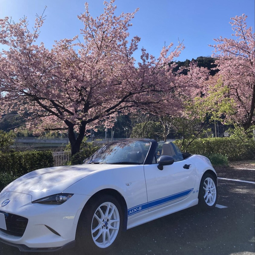 マツダロードスターと桜02