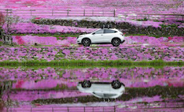 「確実に人生を変えてくれた」ホンダ・ヴェゼルが与えてくれた新たな経験の“きっかけ”